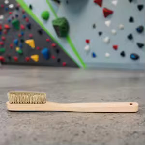 Brushes and Accessories